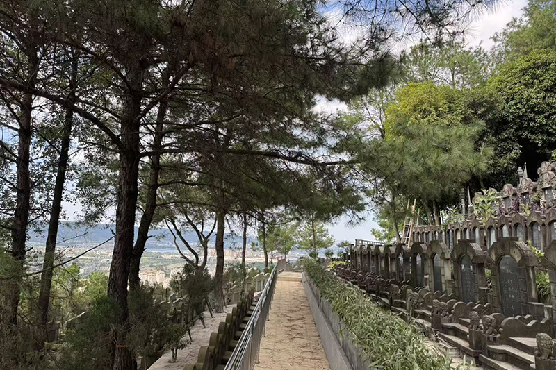 旧地新生，静好如初